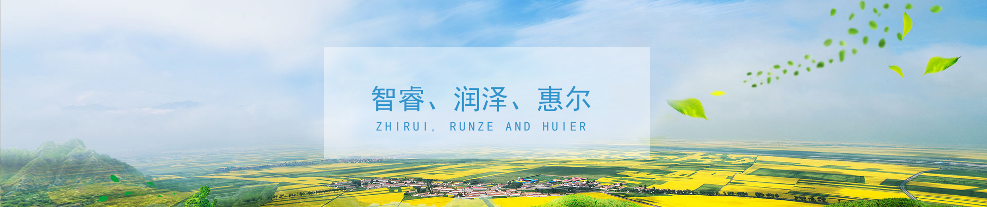 &#31859;&#20848;&#23448;&#26041;&#32593;&#39029;&#29256;&#45;&#31859;&#20848;&#77;&#105;&#76;&#97;&#110;&#40;&#20013;&#22269;&#41;